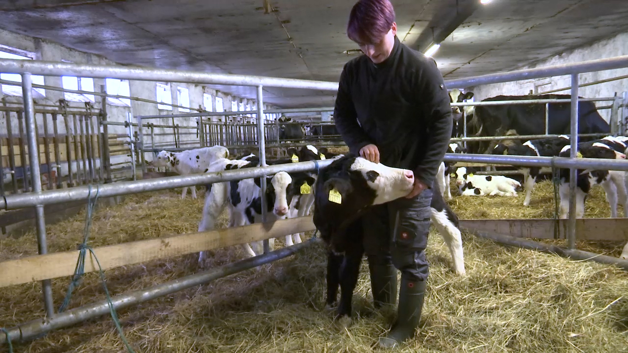 Megional mit der Siegerin im Landesmelkwettbewerb Megional mit der Siegerin im Landesmelkwettbewerb