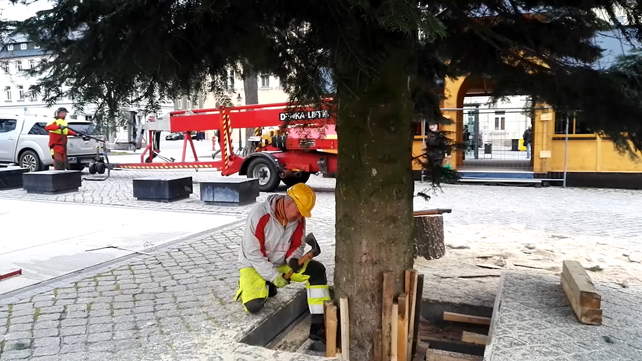 MEgional am 7. November 2019 mit dem Weihnachtsbaum auf dem Marienberger Marktplatz MEgional am 7. November 2019 mit dem Weihnachtsbaum auf dem Marienberger Marktplatz