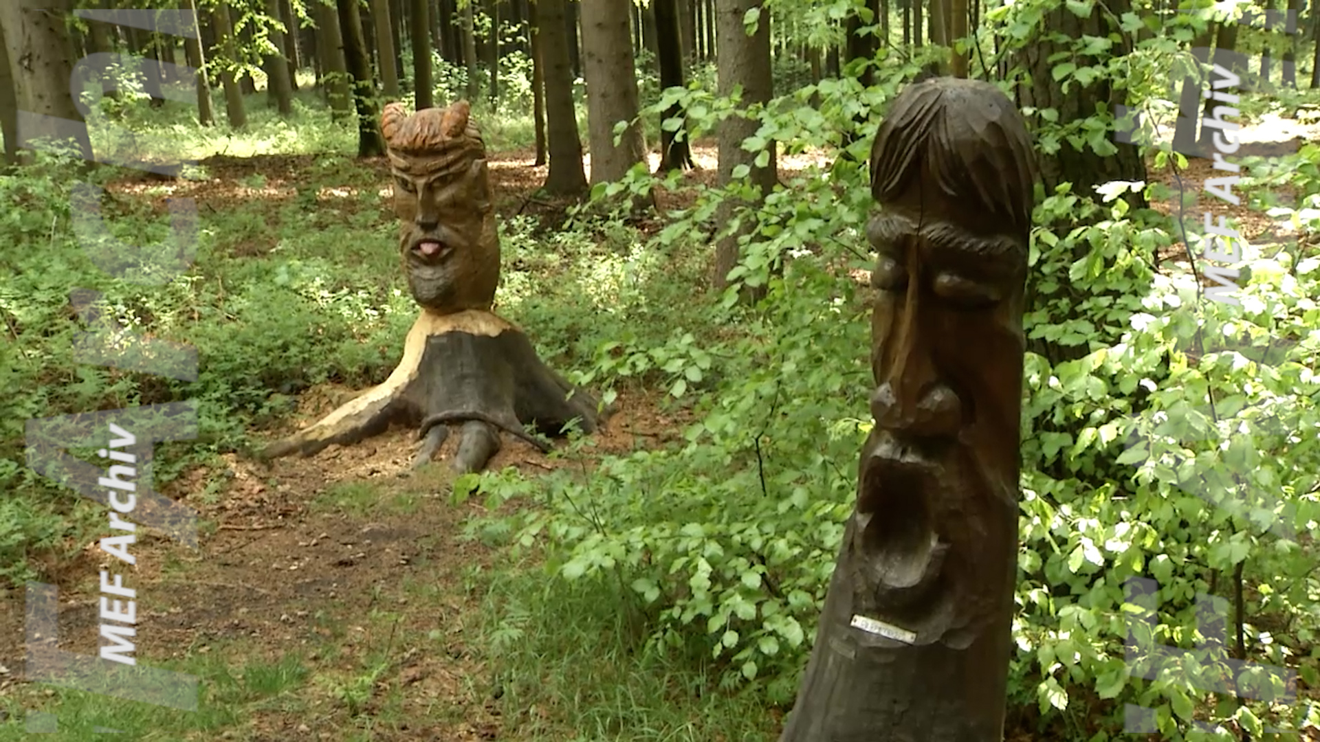 MEgional am 20. Mai 2022 - mit dem Waldgeisterweg im Greifensteingebiet